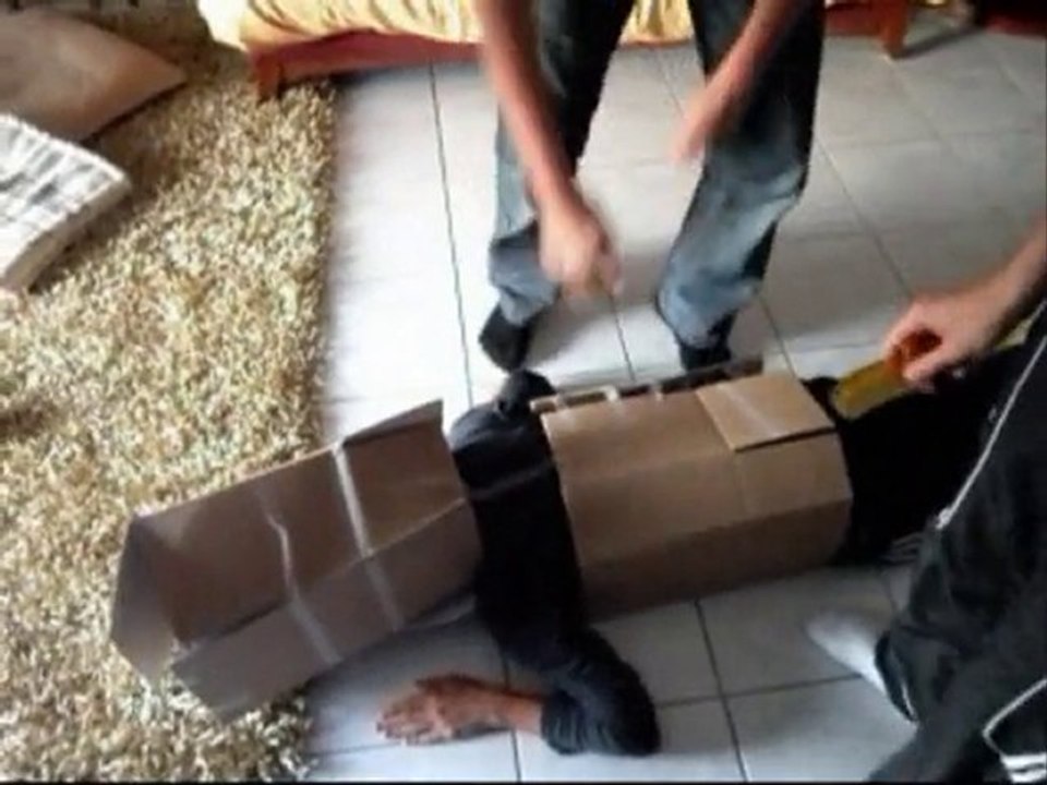 Pub Citromerde C-4 Dali