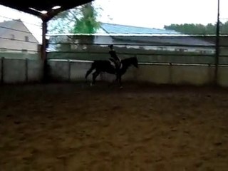 SAM_0565 mariam galop3