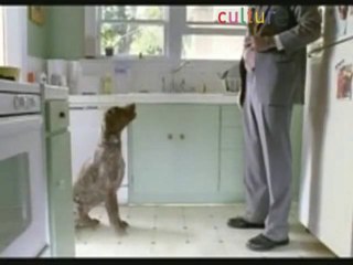 Les animaux sont-ils les meilleurs amis des hommes ?