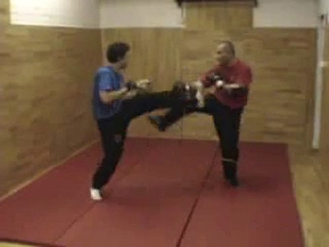Sifu Yannis - Wing Tzun kick defense 2
