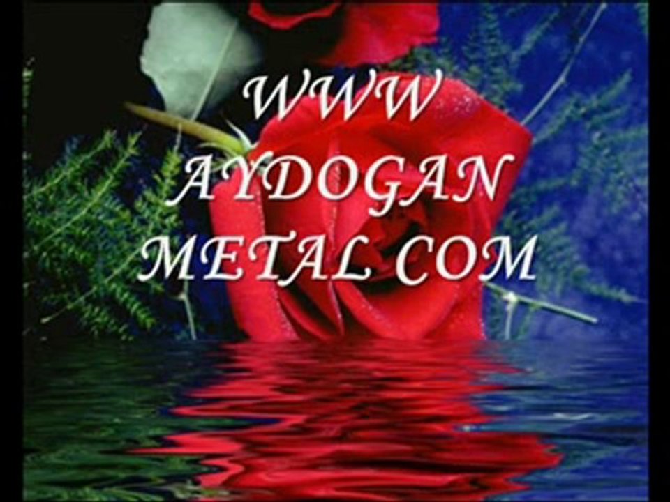 ARİF AYDOĞAN 2