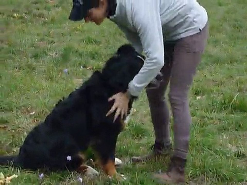 Avec le nounours fou du sud-ouest