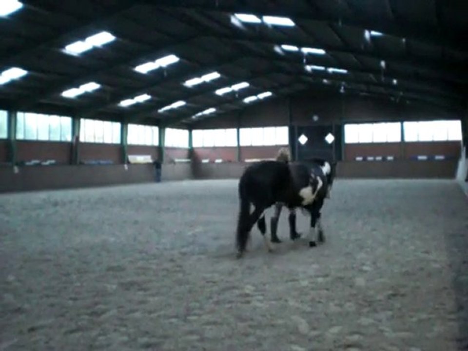 Unser 1. Mal Longieren