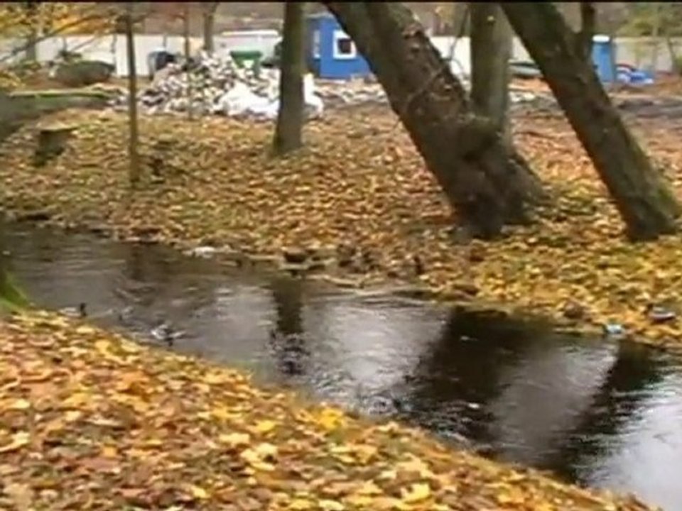 JESIEŃ W PARKU