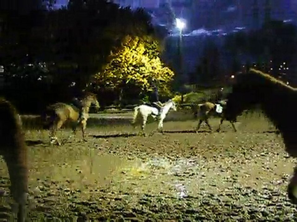 Dimanche 31 octobre 2010