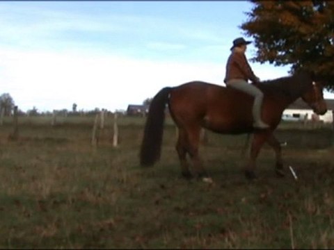 déplacements latéraux barrière à cru nov20102