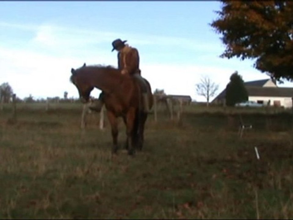 flexions a cru a l'arret nov20102