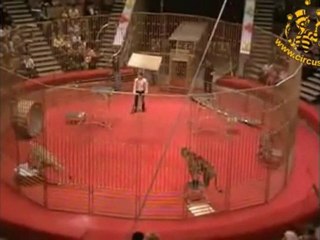 Art Company present ID 12