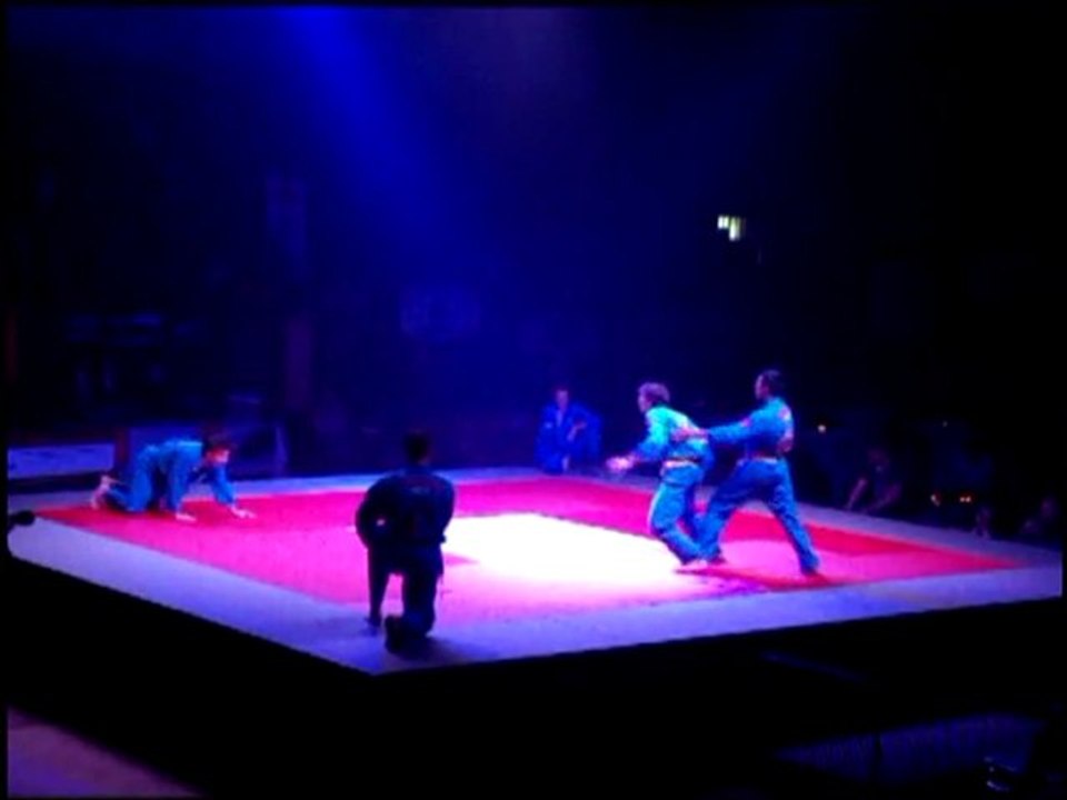 Vovinam Lancy au salon des arts martiaux 2010 à Genève