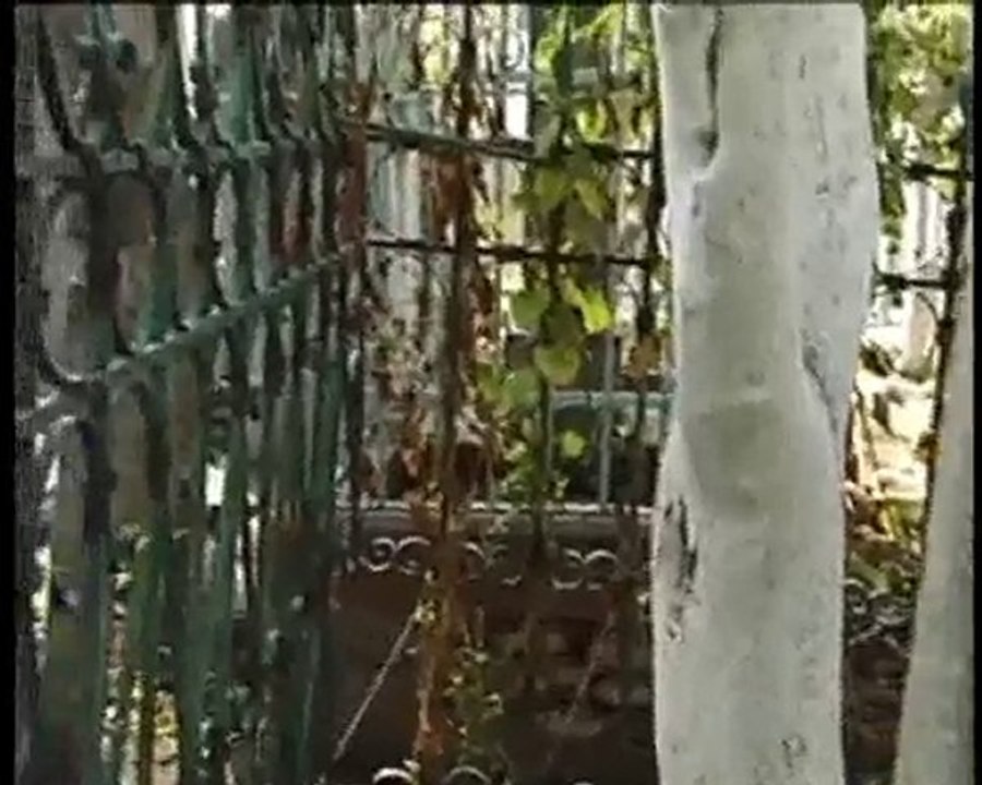 Hattat hafız osman efendi