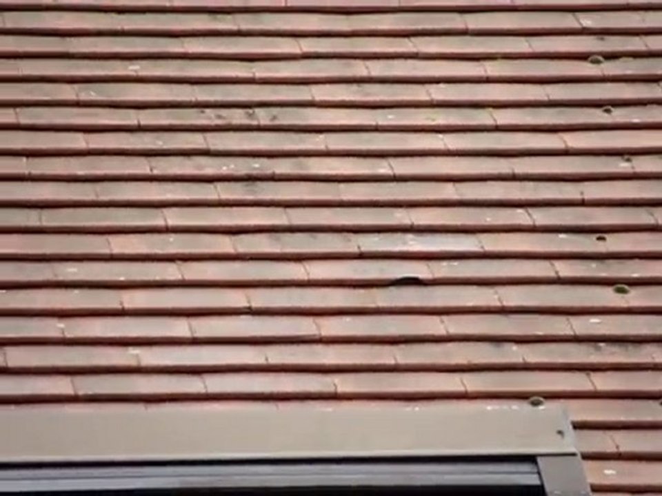 Tuiles cassées par la violence de l'impact