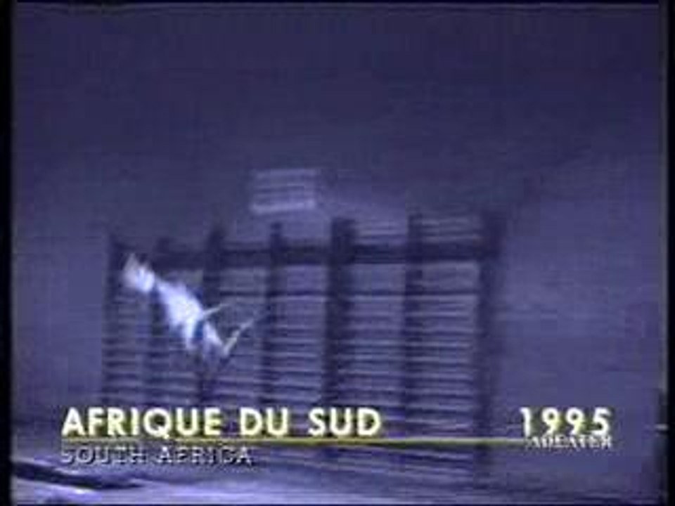 2_Comique - le suicide du chien humour