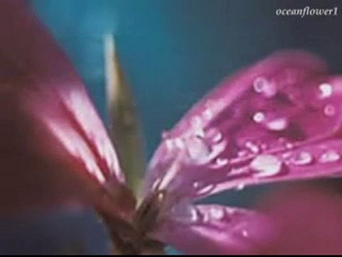 cemal safi - tek hece ( aşk)