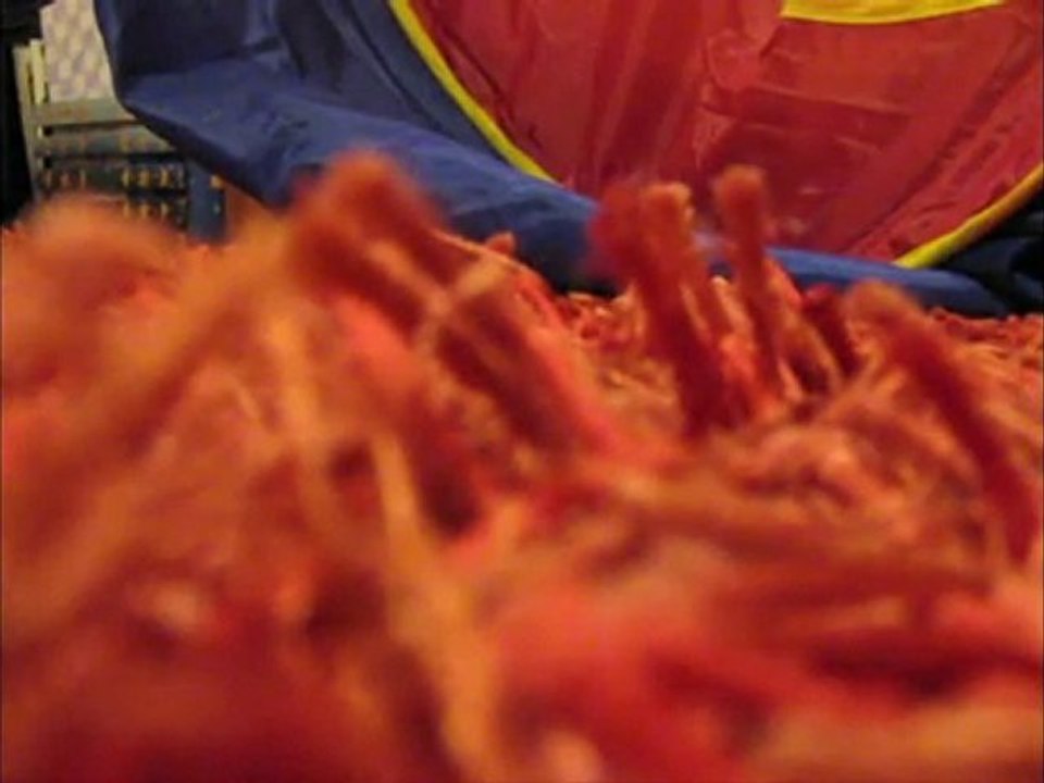 27. Leo e os seus [Eu Falo - A navalla Suiza]