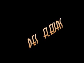 mozart fleur par colniegian HDTV