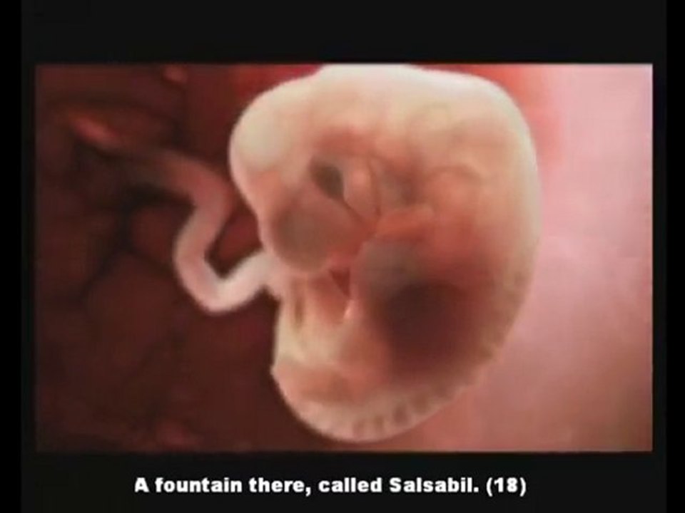 وَفِي أَنْفُسِكُمْ أَفَلا تُبْصِرُونَ