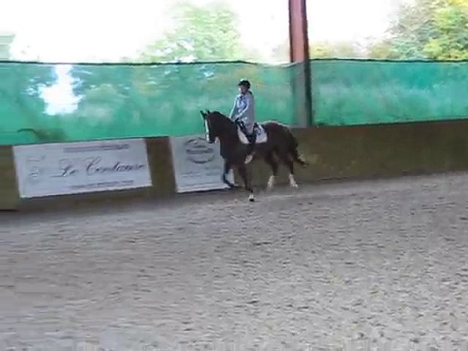 STAND up ponette à vendre