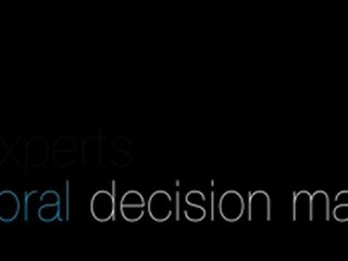 Behavioral Intelligence. Professional Performance