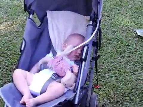 Jardin Botanique -sieste G