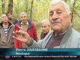 La cueillette des champignons en Midi-Pyrénées