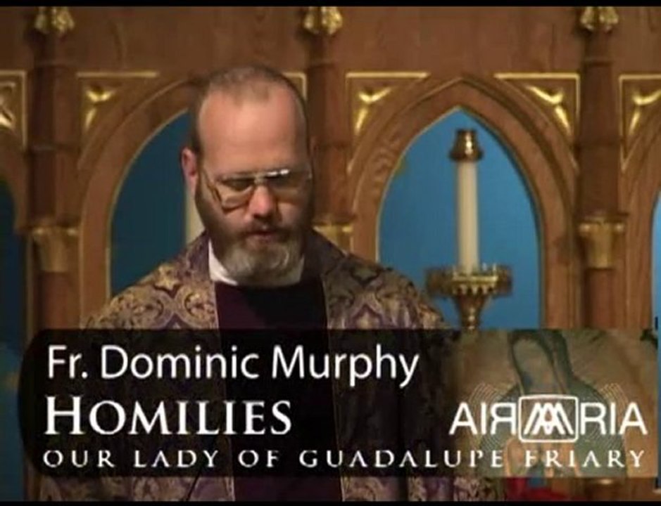 Nov 03 - Homily - Fr Dominic: Franciscan Faithful Departed