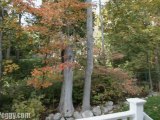 Hickory Beech | Topsfield, Massachusetts real estate & homes