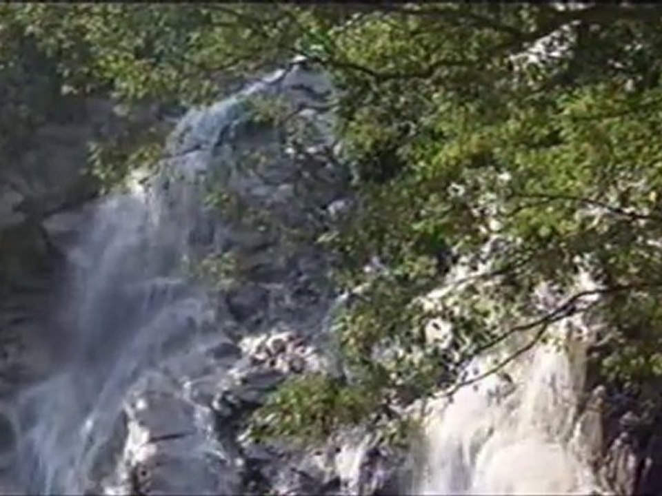 KOKIA - Harmony a cappella