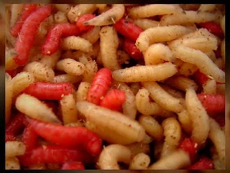 Entrepreneurship Summit 2010: Markus Haastert