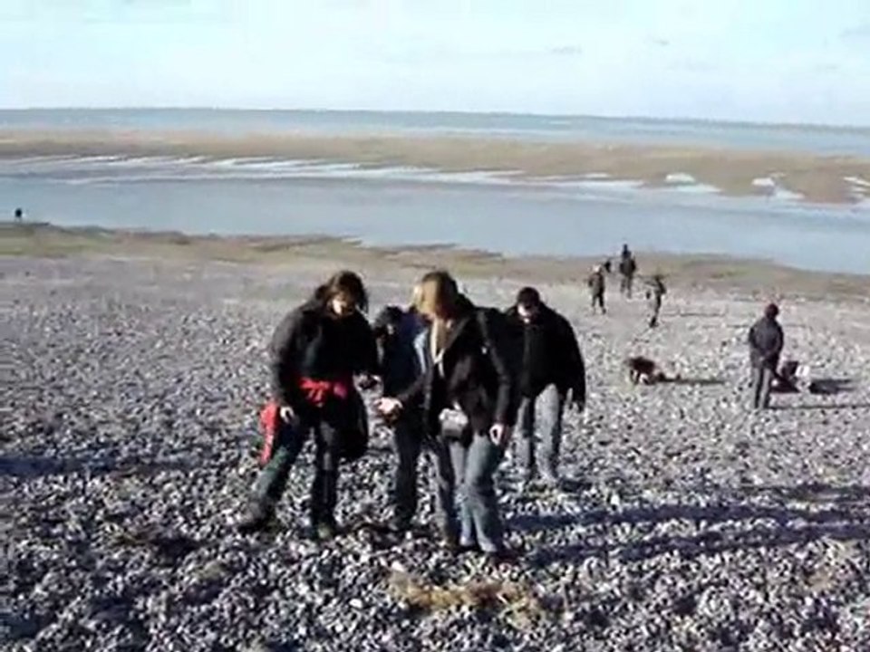 Transhenson - le Hourdel