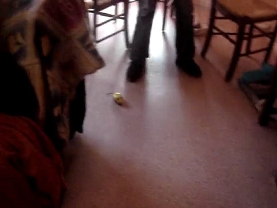 MOV02121