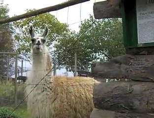 Campsegret : Visite de la ferme du Touron