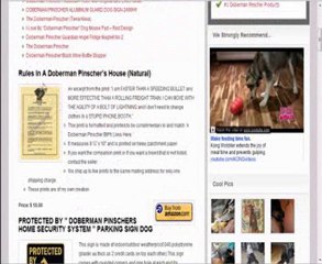 Droid-robot-3.4-nueva-version-001