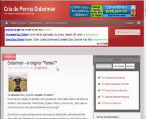 Como Crear Un Blog Automatico Con Droid Robot (video 2)