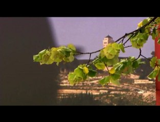 expo "Une terre, une famille" (photos de Reza) à la Villette