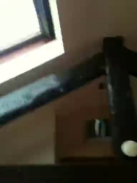 VIDEO APPARTEMENT DE GOLEY