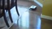 Mint Automatic Floor Cleaner Demo Cleaning Cycle by ...