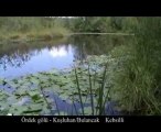 Ördek Gölü Kuşluhan köyü Bulancak Giresun
