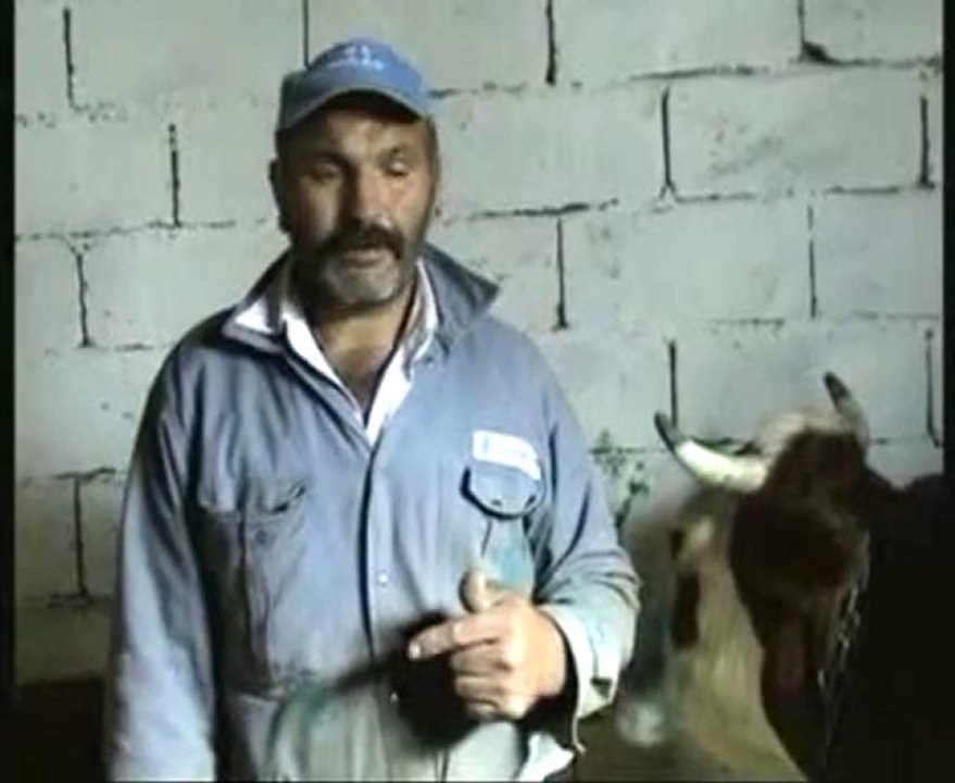 AYDINLARDA DA ŞAP HASTALIĞI GÖRÜLDÜ