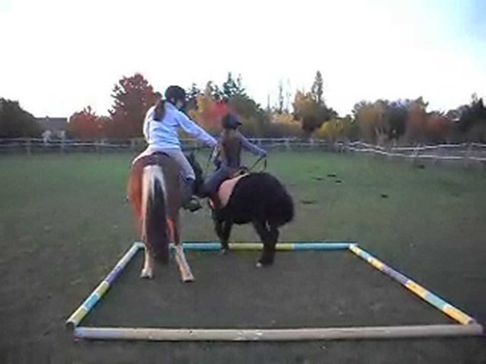 IL Y A DES CAVALIERS PRO! Stage initiation west