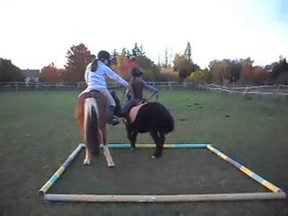 IL Y A DES CAVALIERS PRO! Stage initiation west