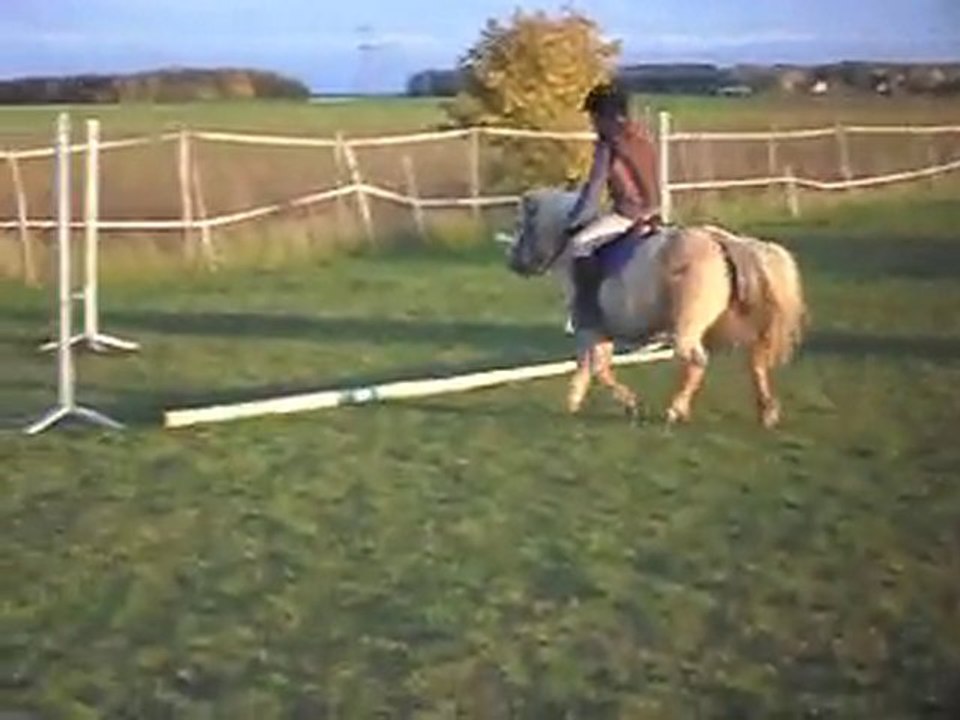 Poney-club nos chiens connaissent les distances!