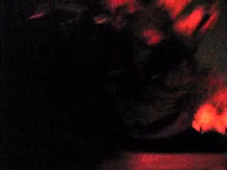 Big Thunder Mountain à Disneyland Paris de nuit