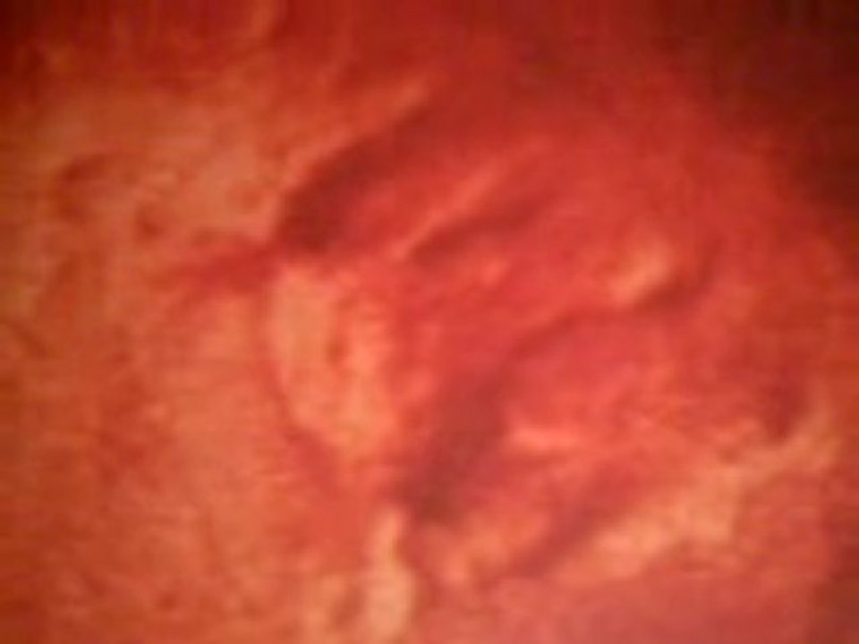 Visage sur Mars a été Jésus-Christ