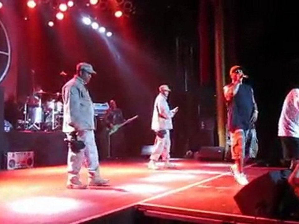 PUBLIC ENEMY 02.11.10 SWISS SHOW HD
