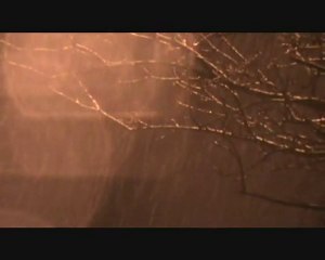 _Arvo Part - Fur Alina