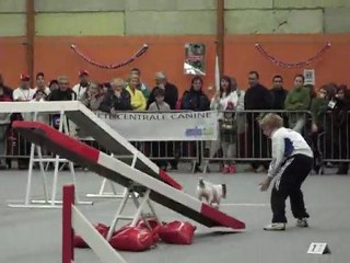 lucas et biloutte  jeunes conducteurs 2010