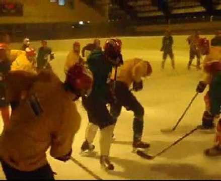 Les Bisons - Hockey Club Neuilly sur Marne