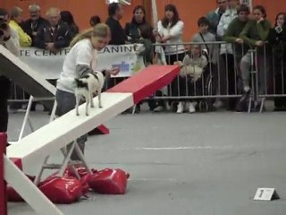 romane et pinceau jeunes conducteurs 2010