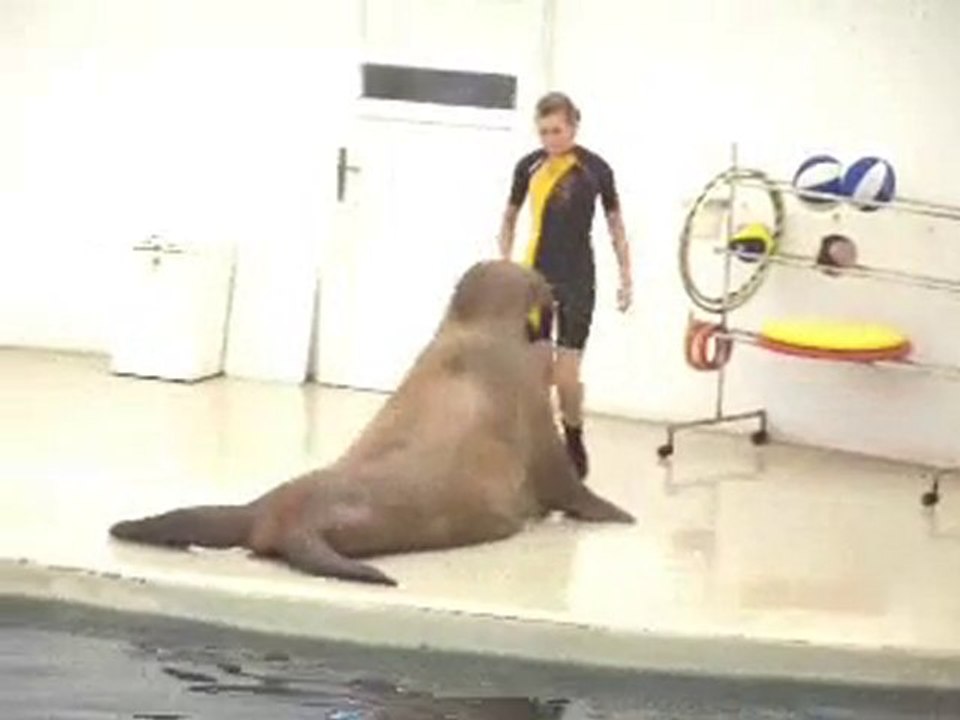 seance Gainage Vétérans Saint Prix