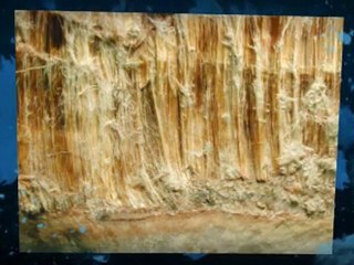 Asbestos Testing Waterbury CT